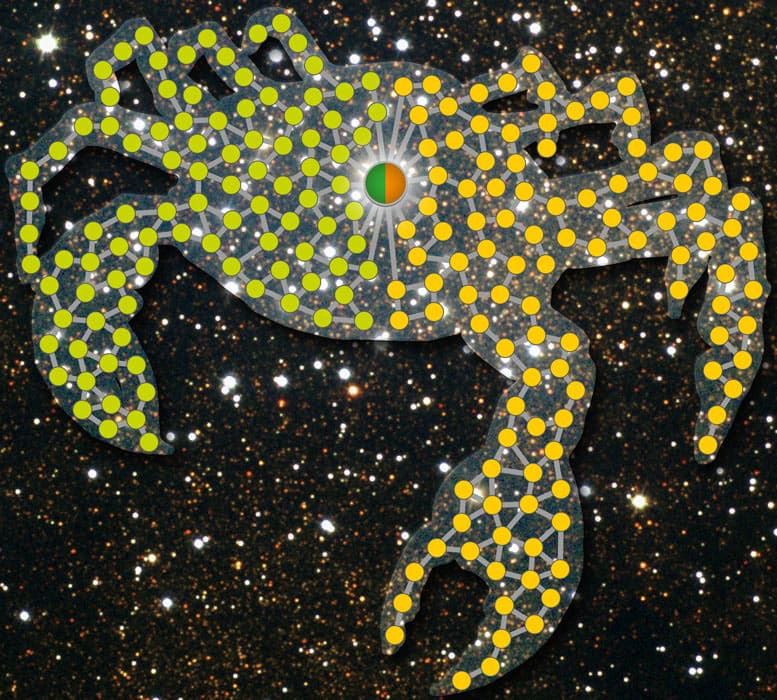 Diagram network rewiring cancer gene fusions