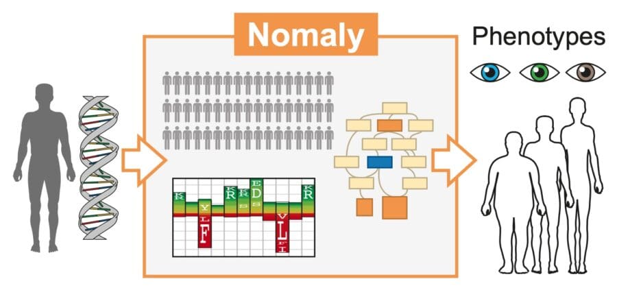 New computational method for genome analysis | MRC Laboratory of ...