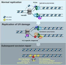 H33-picture-summary_215