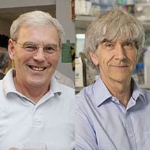 Richard Henderson and Nigel Unwin