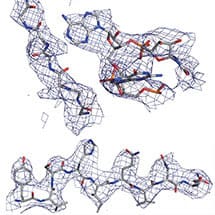 High Resolution Ribosome Structure