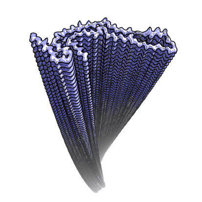 Narrow Pick filaments.