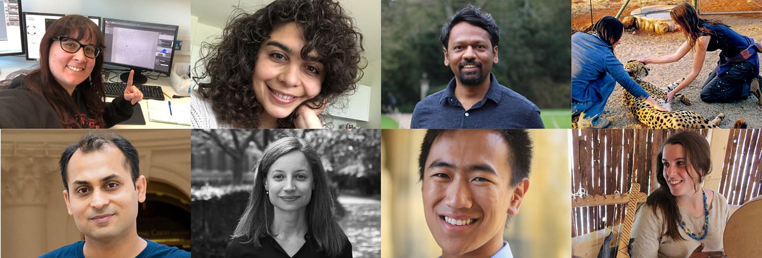 Clockwise from top left: Patricia Brown, Soudabeh Imanikia, Arun Prasad Pandurangan, Nina Rzechorzek, Lorena Boquete Vilarino, Kim Liu, Maria Marti Solano, Bilal Ahsan