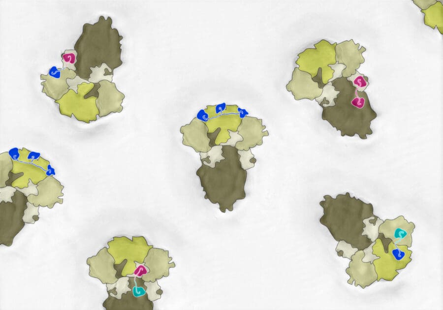 Abstract drawings of COVID-19 viruses in shades of green, each with the new class of antivirals attached to them, which block infection