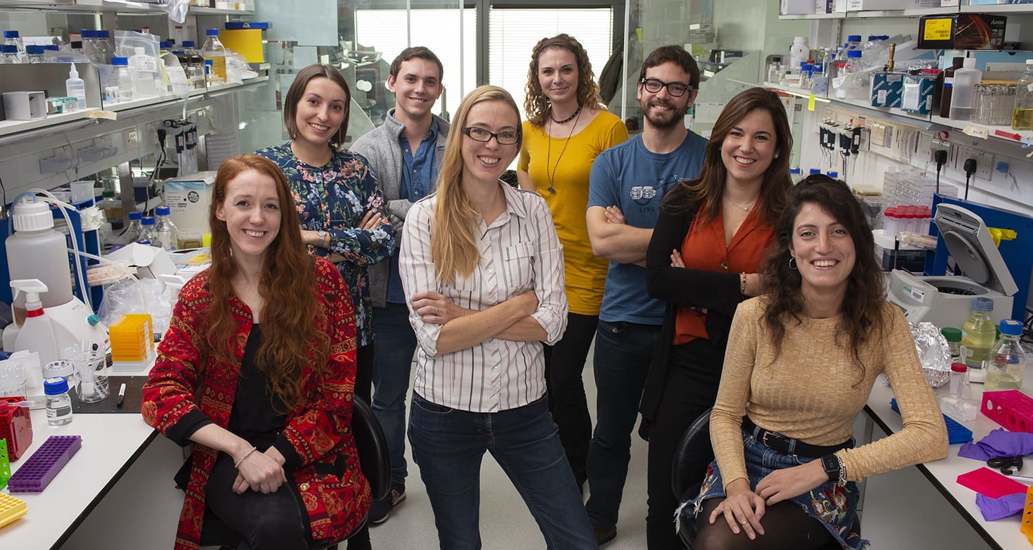 M. Lancaster group in lab