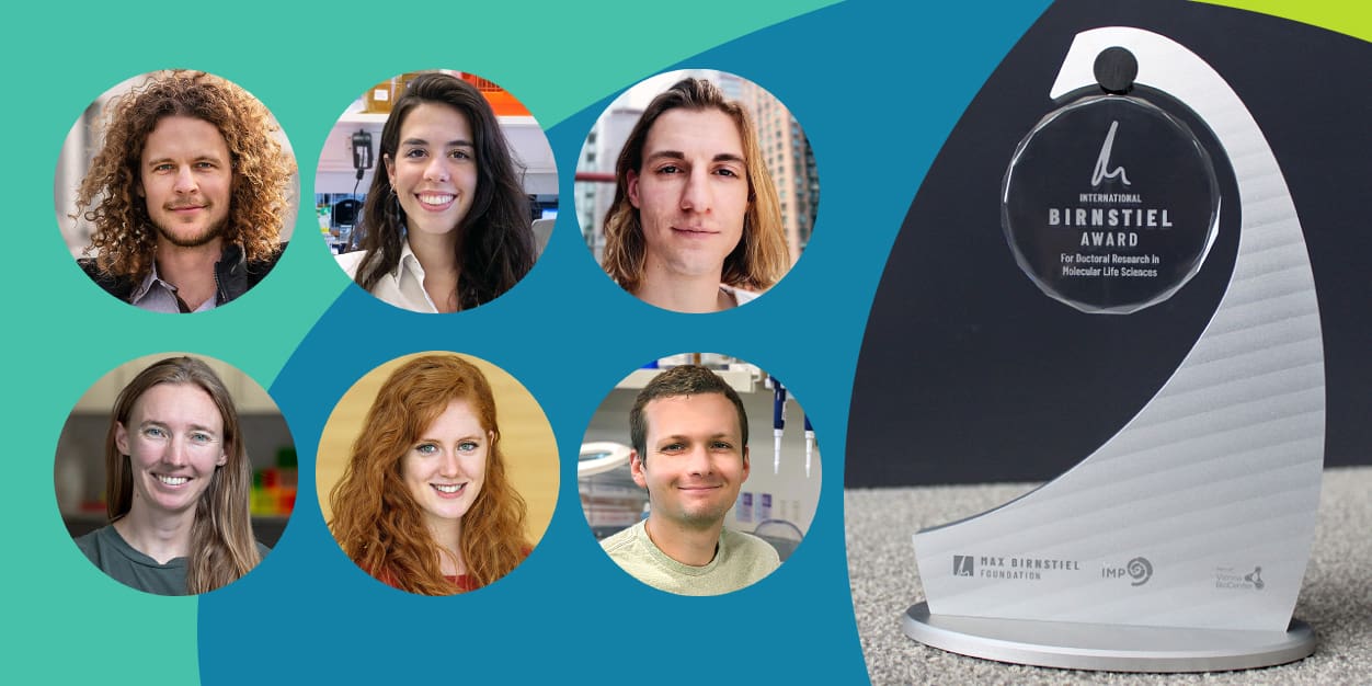 Laureates of the International Birnstiel Award 2023