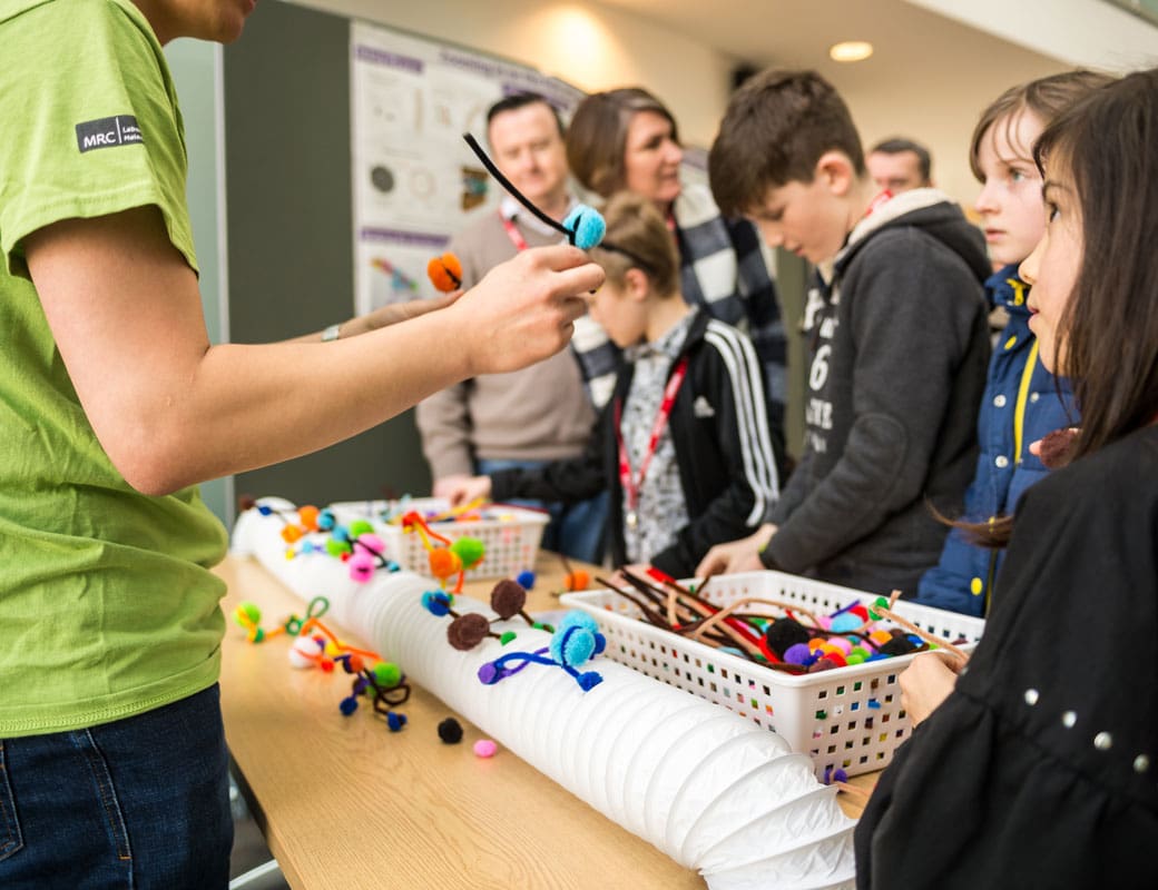 Mighty Molecular Motors Exhibit at STEM in Song, March 2018