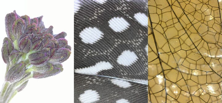 Stimulating children’s scientific curiosity through microscopy | MRC ...