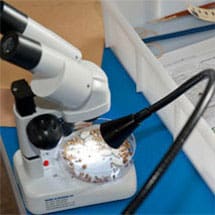 M4S Website Launched