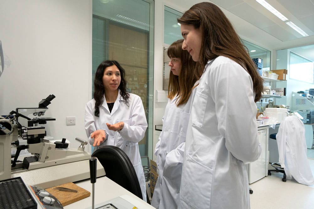 Nicola Smyllie introduces her research to Government Office for Science visitors