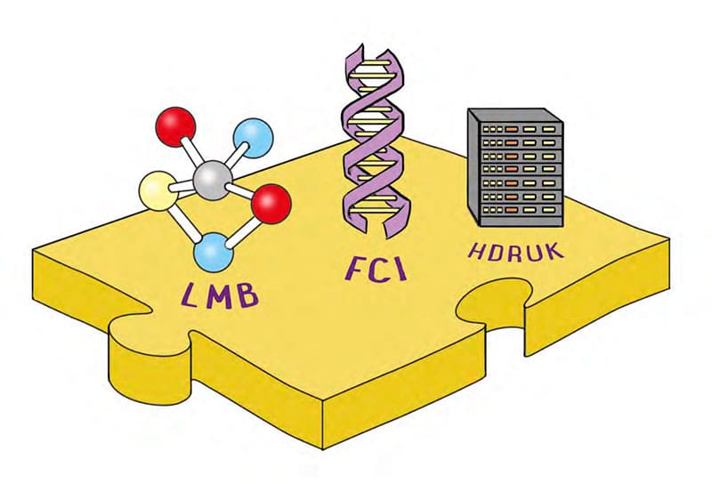 Dementia Research in the UK: LMB’s place in the funding landscape