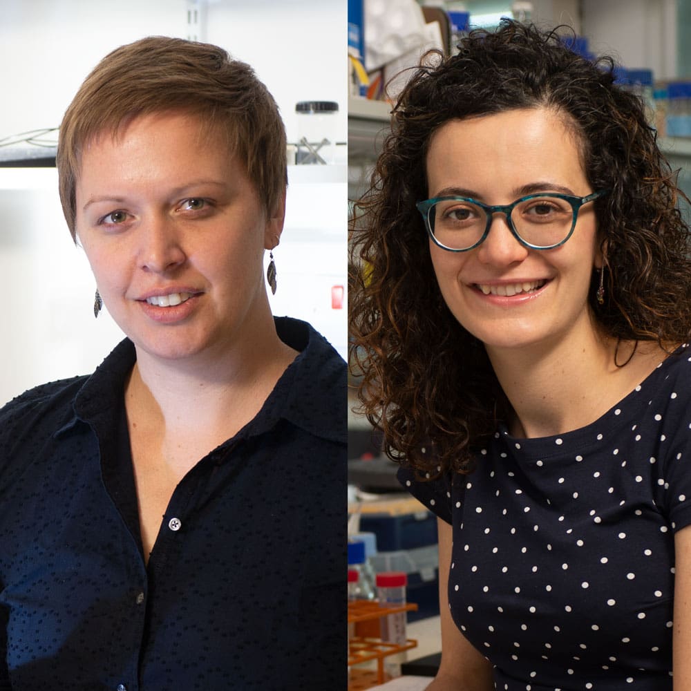 McDole and Shahbazi composition