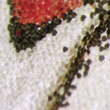 Microscopes 4 Schools