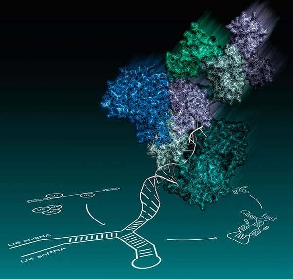 Nagai_LMBnewscover_May13