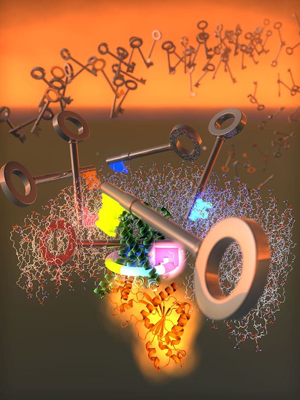 GPCR-G Protein key graphic
