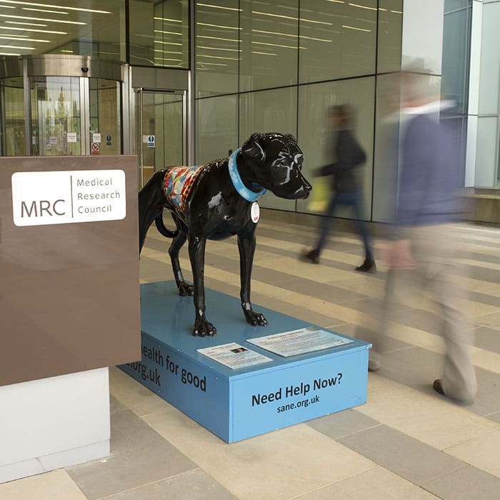 Horace the black dog