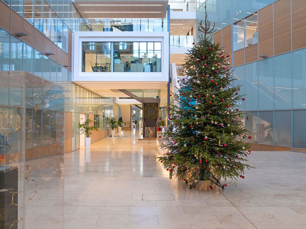 Christmas tree in atrium