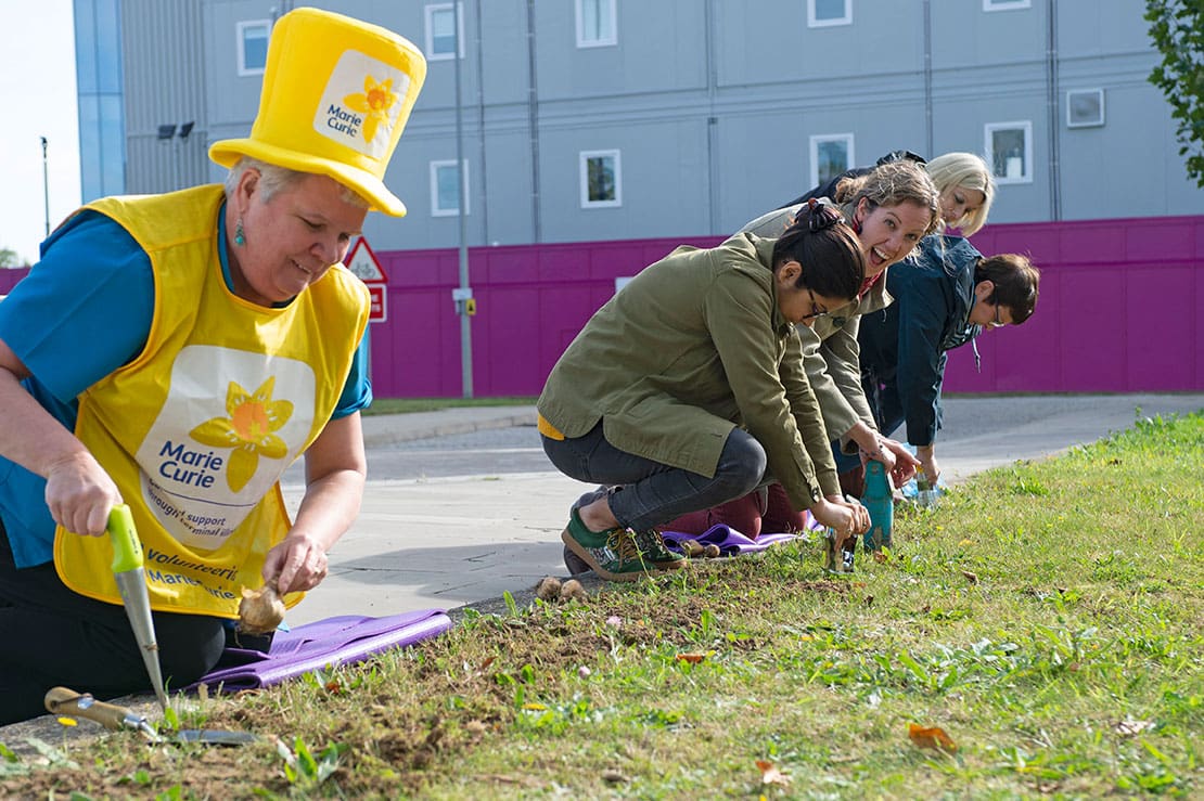 Bulb planting in November