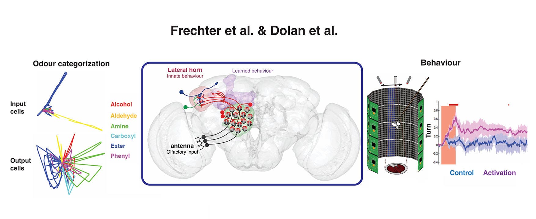 Representation of experiments and results