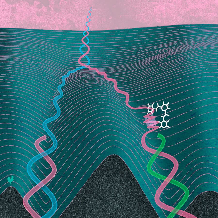 Reprogramming gene expression with small molecules | MRC Laboratory of ...