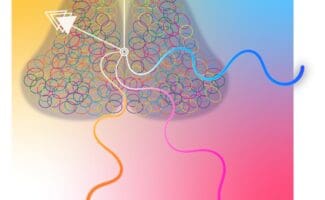 Artistic drawing of the brain with clock handles