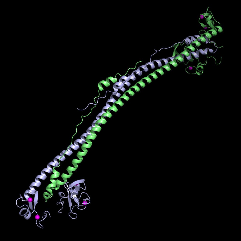 Crystal structure of KAP1