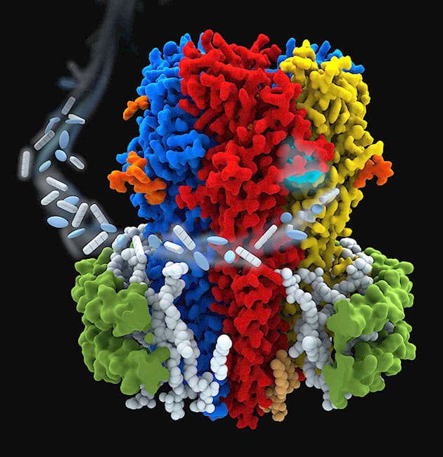 Structure of the human α1β3γ2 GABAA receptor in a lipid nanodisc