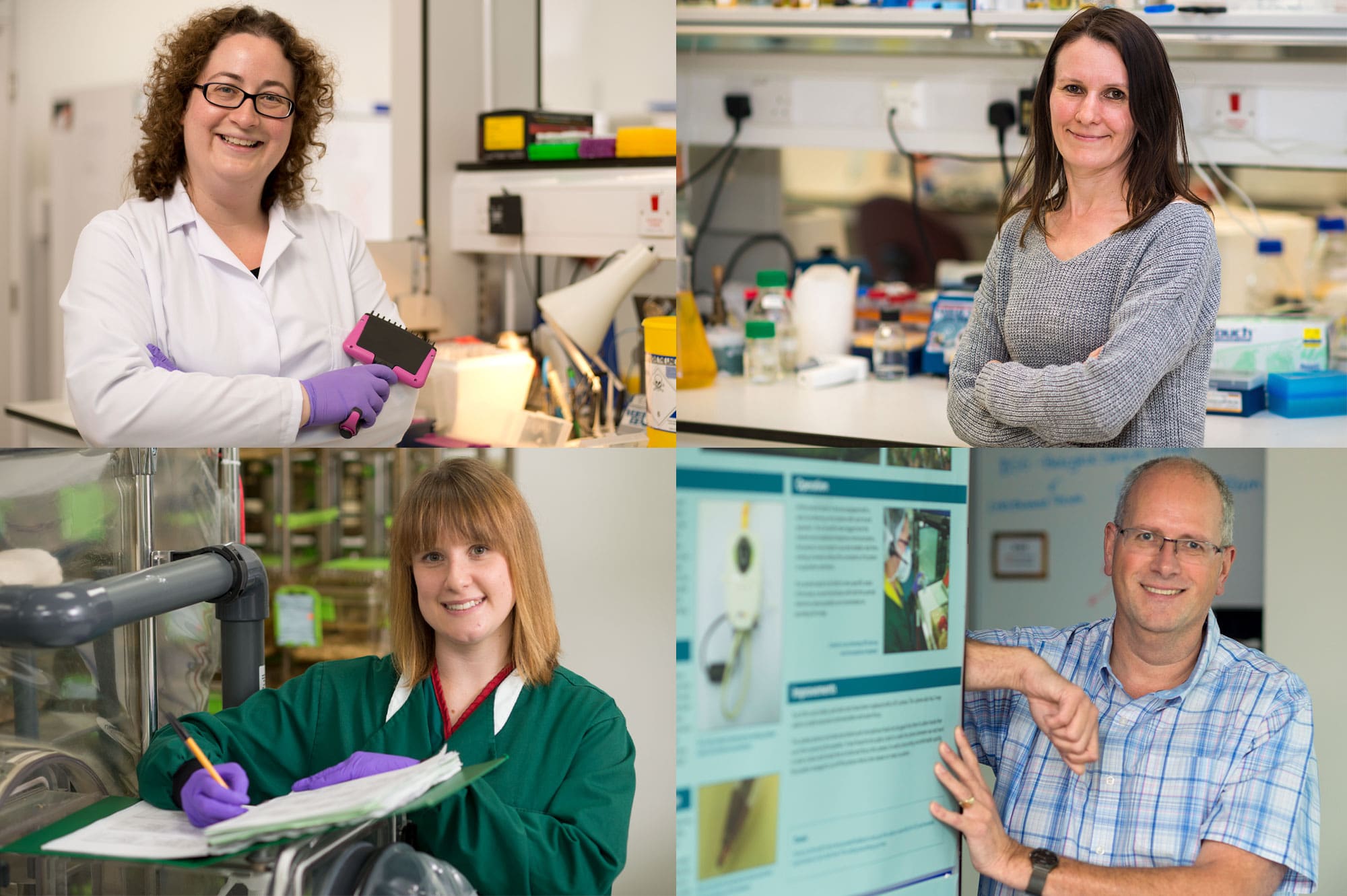 Alison Lane, Jo Chesham, Darren Egan and Helen Cooper (clockwise from top left)