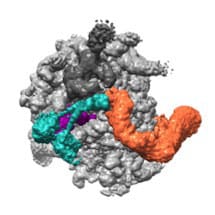 Thumbnail_HegdeUnfinished_proteins