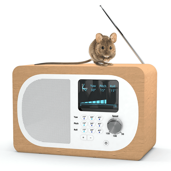 Motor control in the mouse superior colliculus that can be thought of as a combined analogue and digital system.