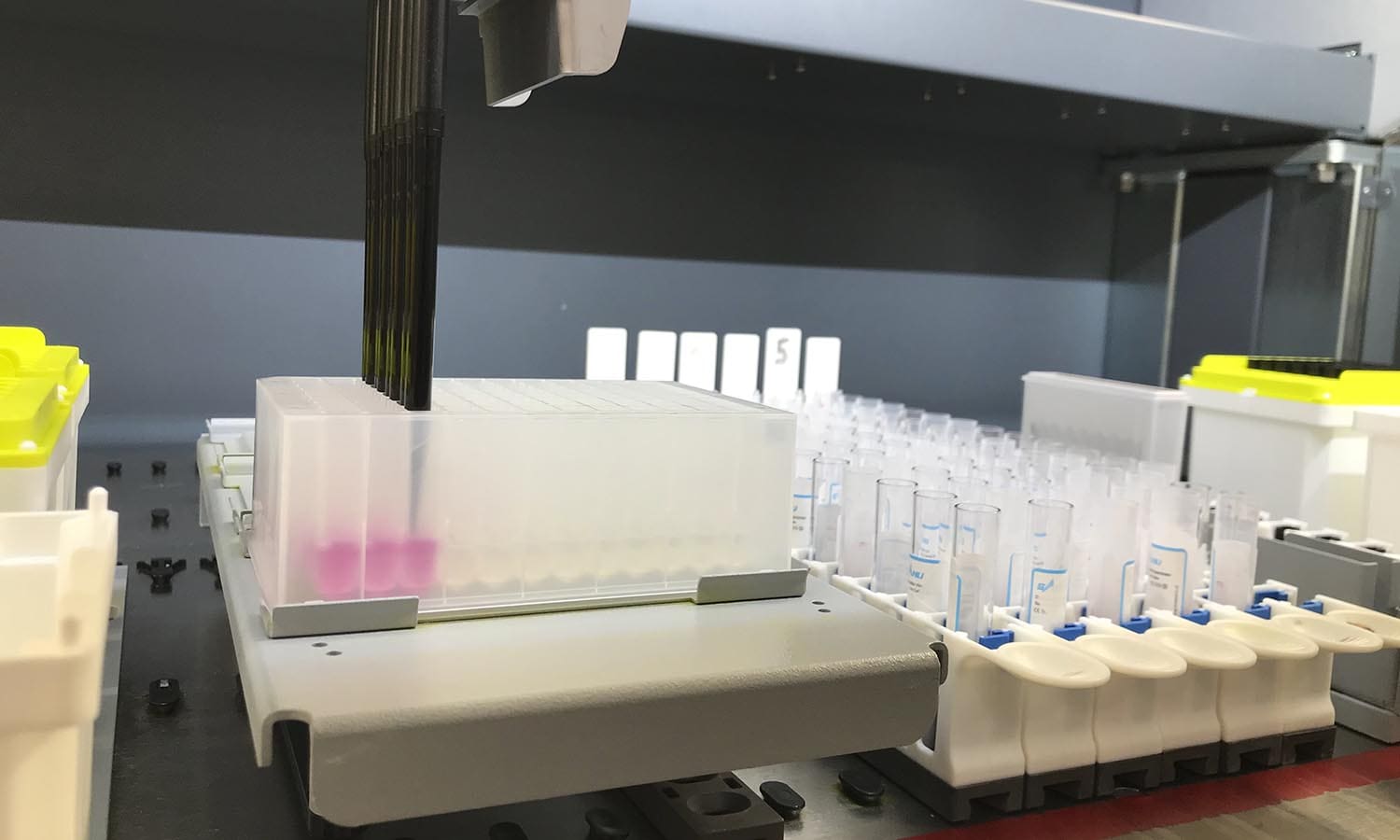 COVID-19 sample preparation at the UK Biocentre.