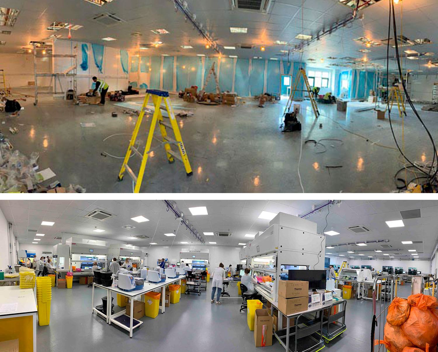 Transformation of UK Biocentre into COVID-19 testing lab