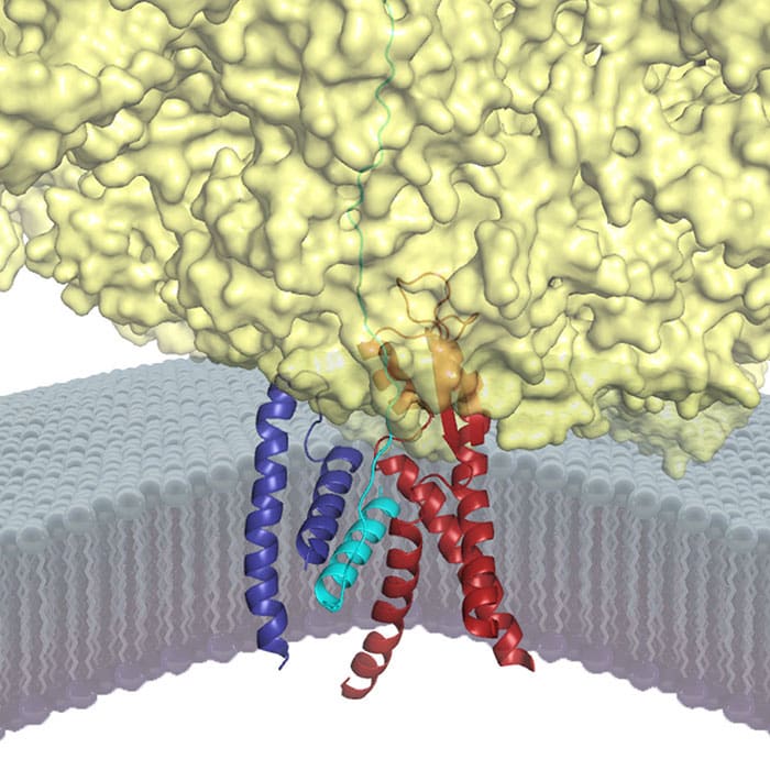Voorhees_Insight_Picture-700