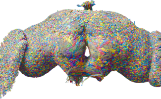 The complete connectome of an adult Drosophila fly - 3D rendering of all ~140k neurons in the fruit fly brain