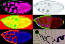 chin_insight_4-14_215