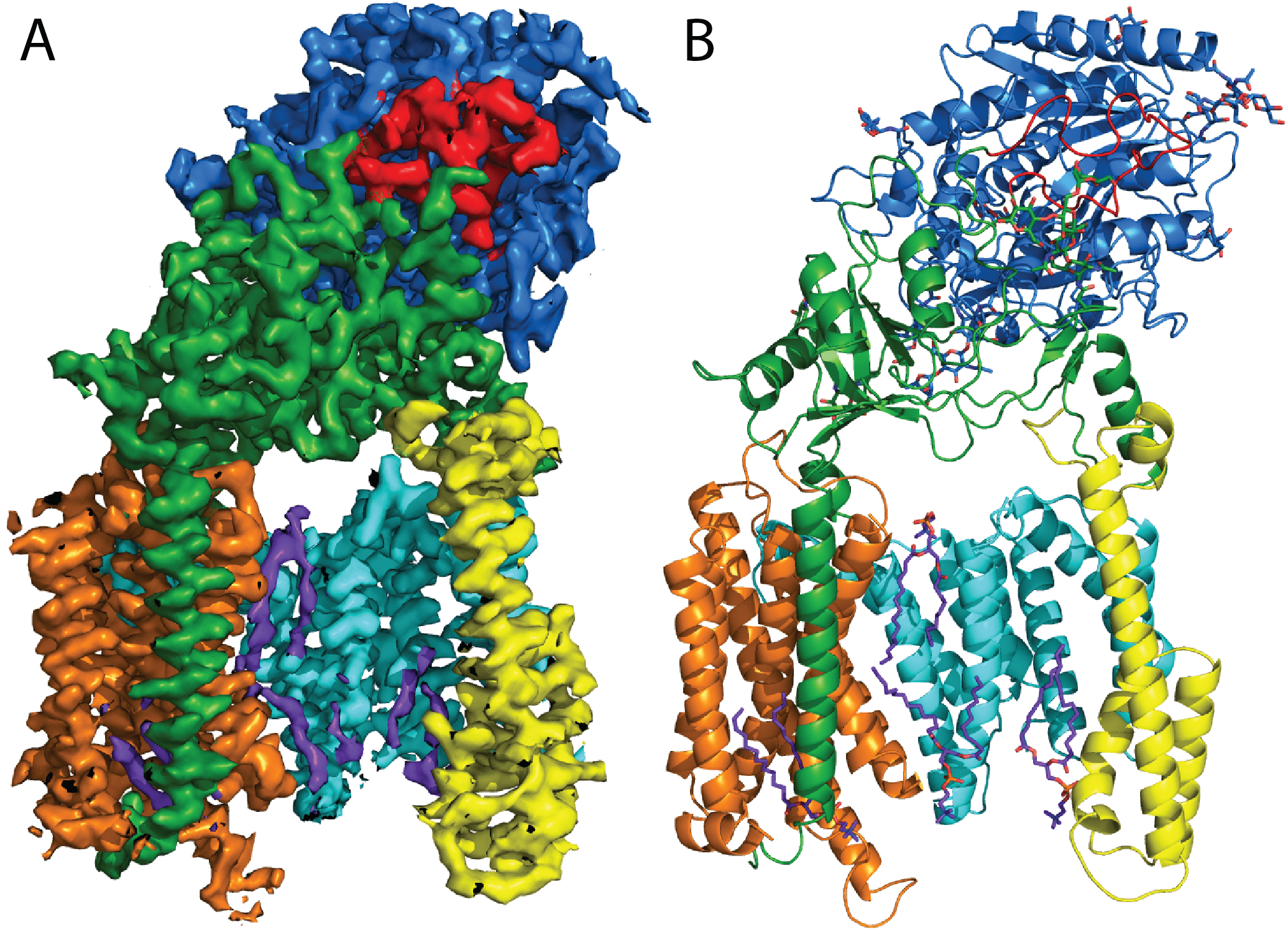 cryoem single column