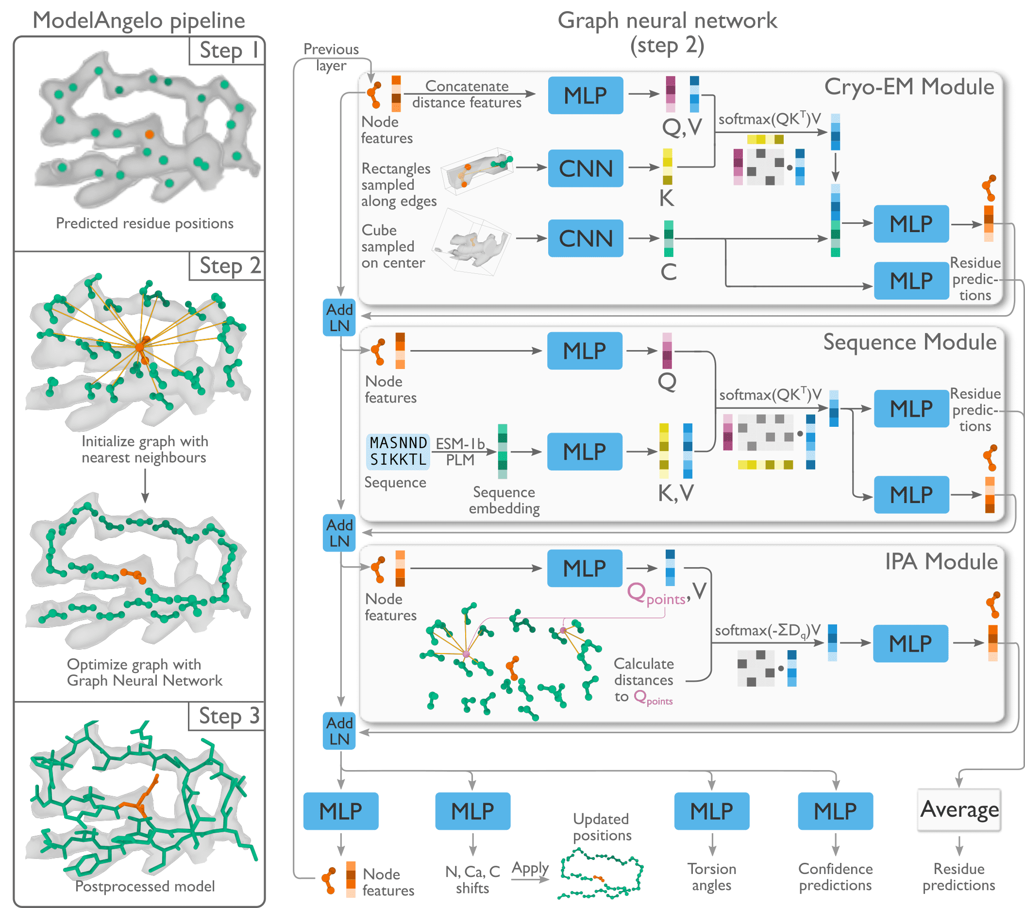 Schematic illustrating the architechture of the ModelAngelo programme