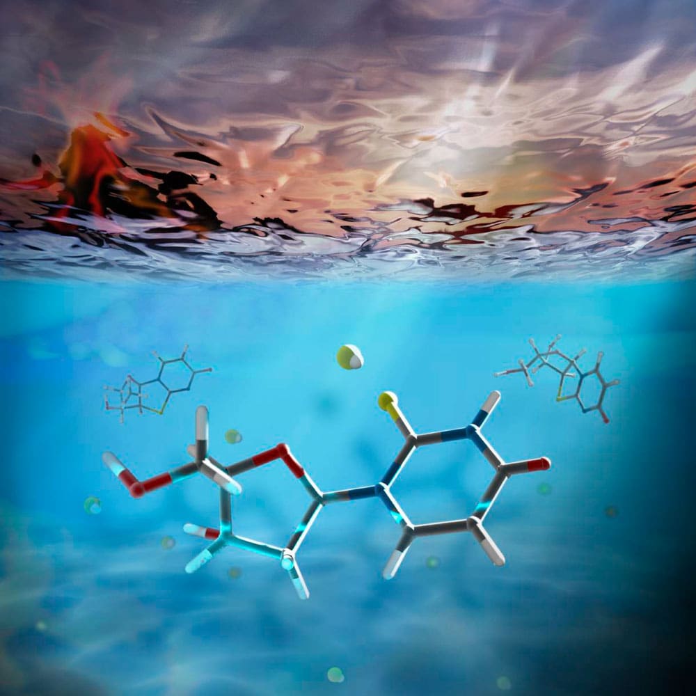 DNA comes into the Light