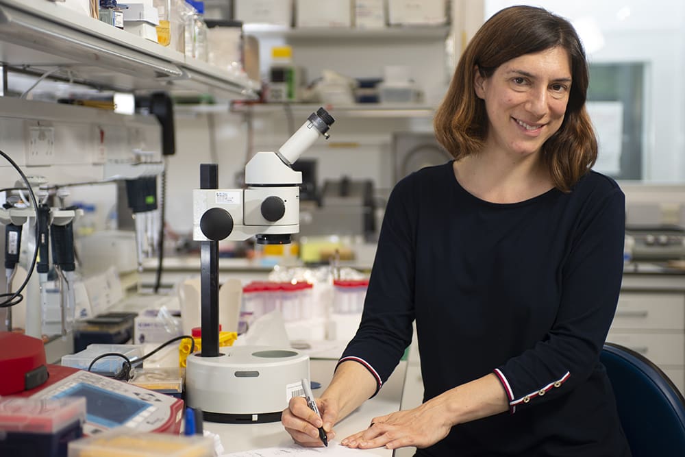 Marta Zlatic at the lab bench next to a microscope