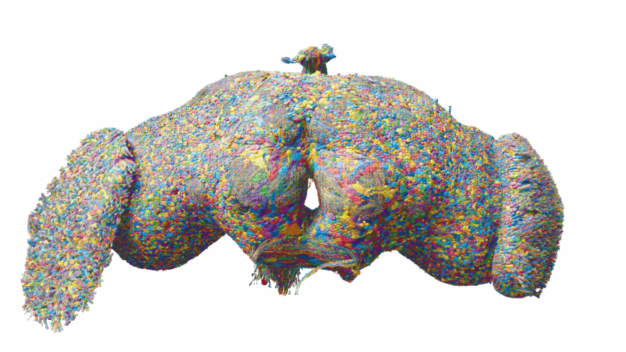 3D surface rendering of the fly brain. Neuronal cell bodies are visible as thousands of small circles in many different colours on the surface. Some elongated nerve bundles travel down towards the nerve cord