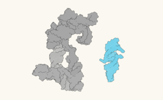 Comparison of ribozyme structures.