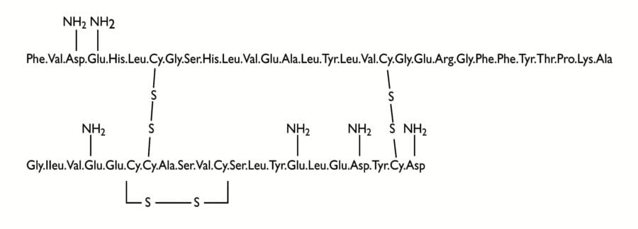 Amino acid sequence of insulin, illustrating its two polypeptide chains connected by disulfide bonds.