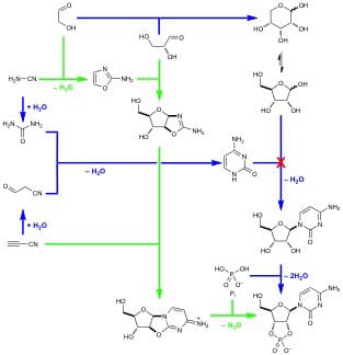 Overcoming dogma in prebiotic nucleotide synthesis. Previously assumed routes to nucleotides (blue) envisioned the conjoining of preformed nucleobases and ribose. The failure of this ribosylation chemistry (red cross) prompted us to explore other routes resulting in the discovery of a successful synthesis (green) from the same feedstock molecules.